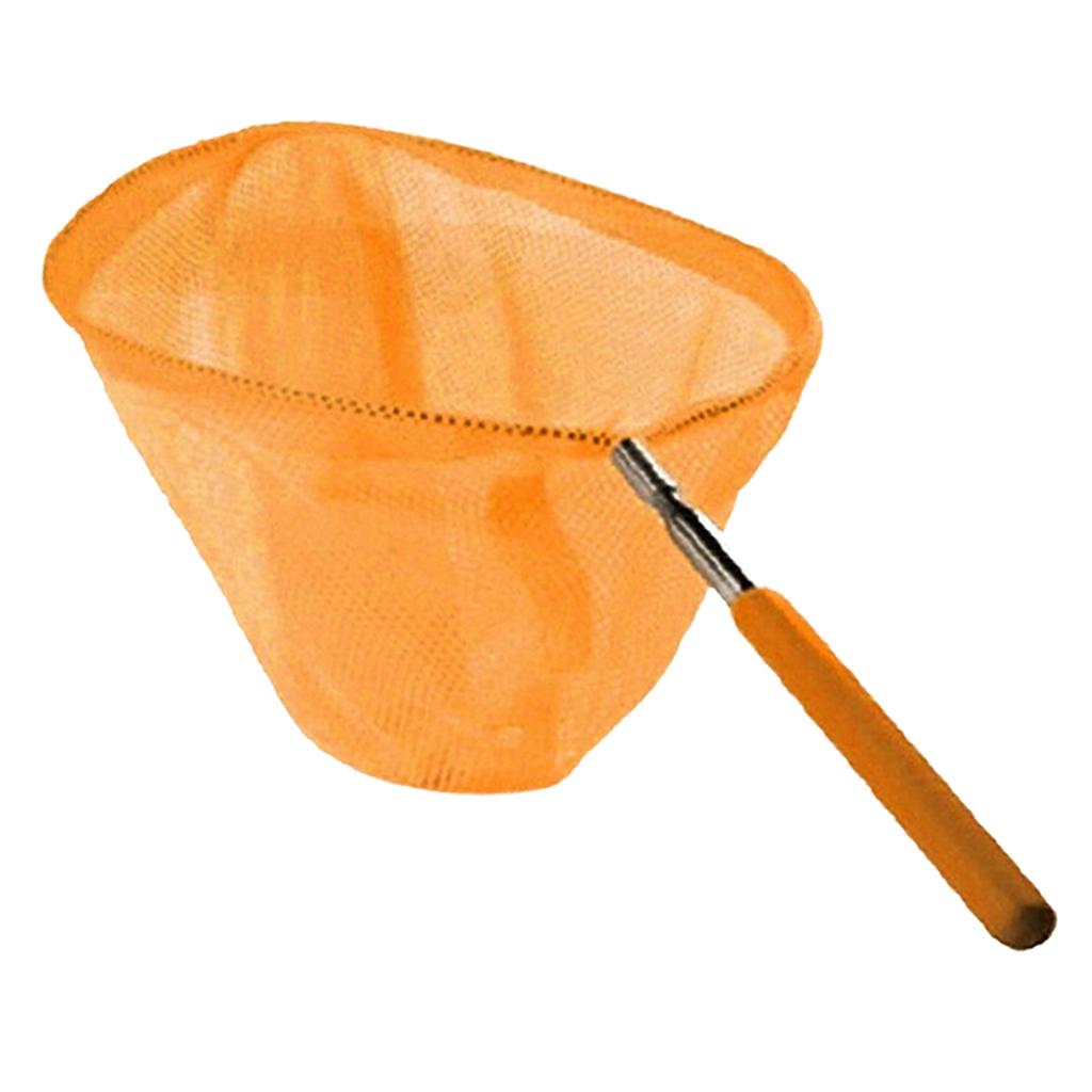 Telescopic Kids Fishing Net Fo - Outdoor Adventure With Kids ulasan dan harga