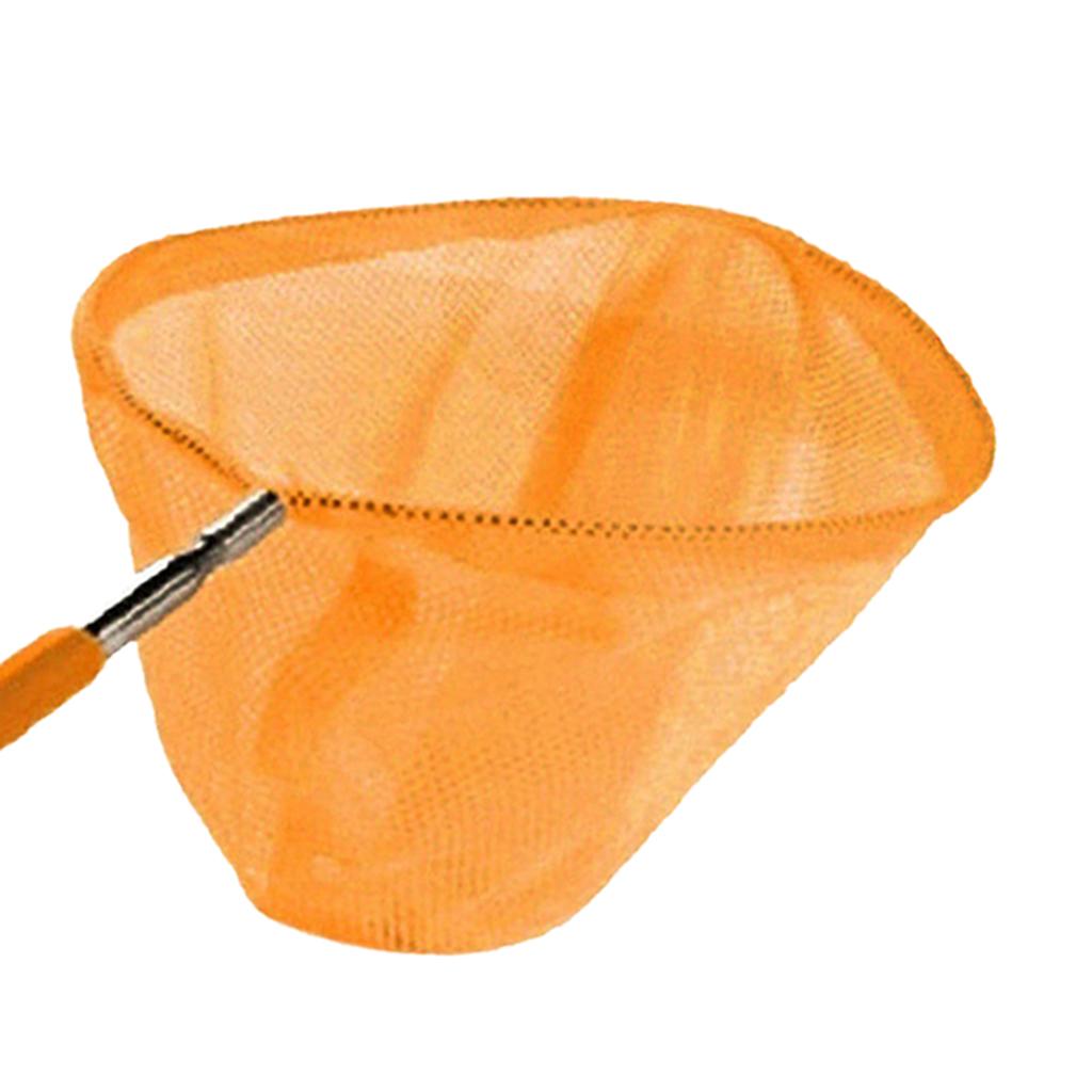 Telescopic Kids Fishing Net Fo - Outdoor Adventure With Kids ulasan dan harga