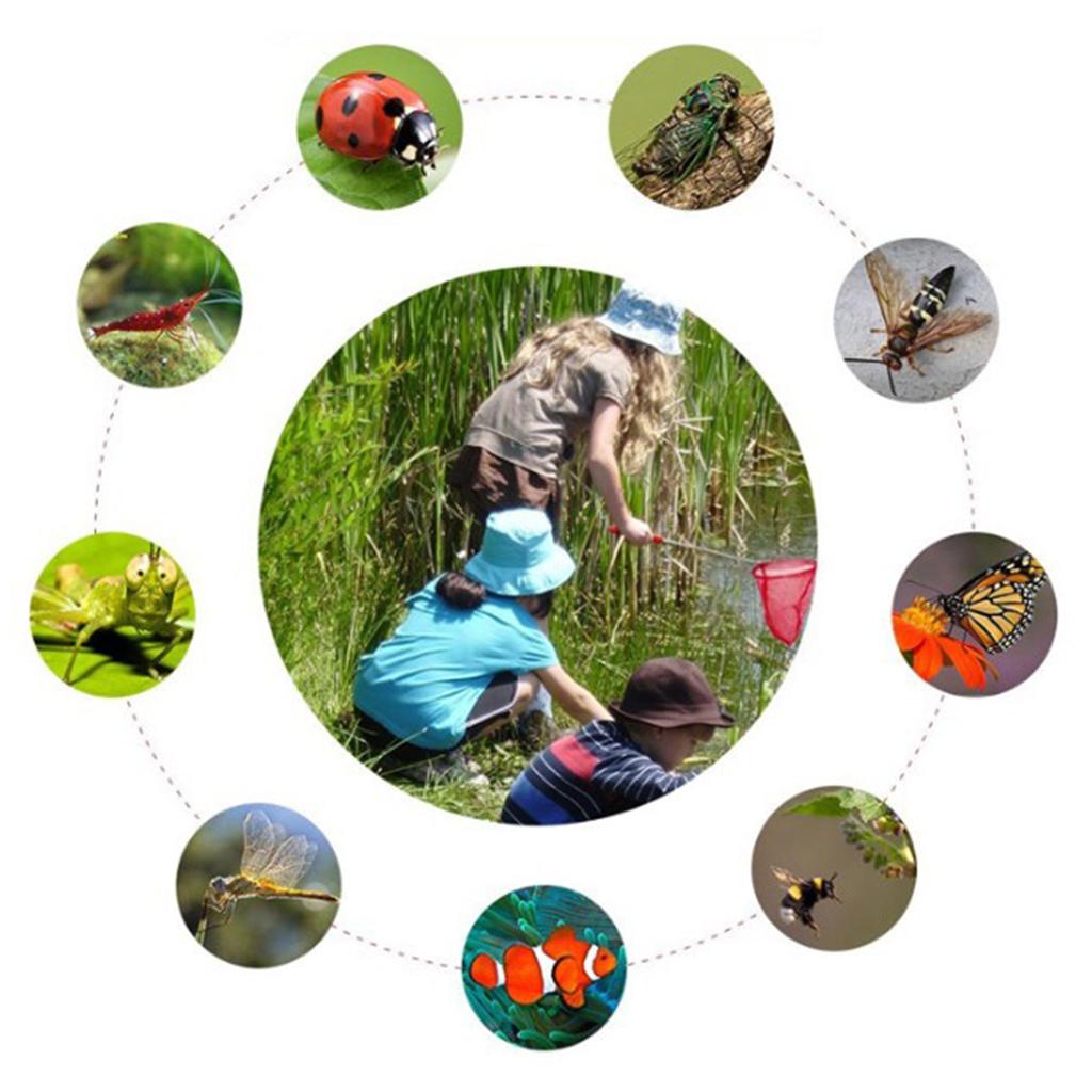 Telescopic Kids Fishing Net Fo - Outdoor Adventure With Kids ulasan dan harga