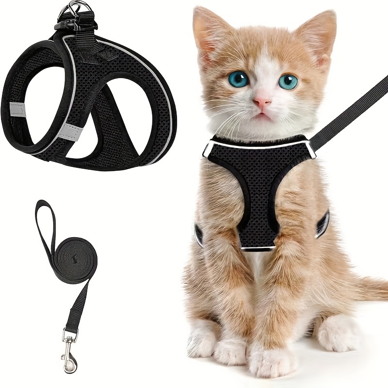 Escape-Proof Cat Harness & Lea - Outdoor Adventure Kit ulasan dan harga