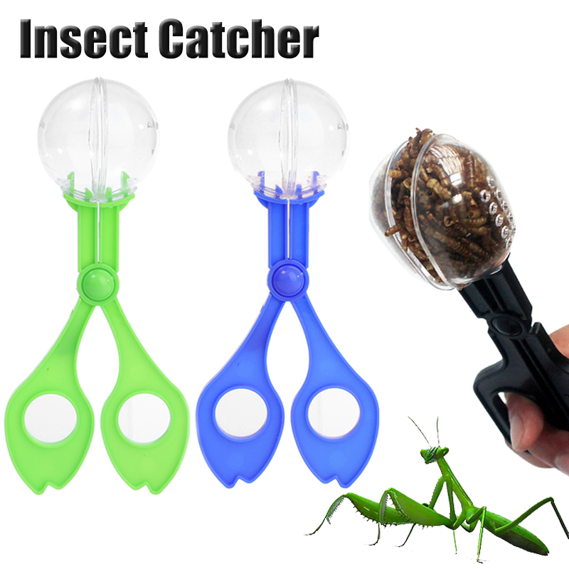 Kids Outdoor Adventure Insect  - Outdoor Adventure With Kids ulasan dan harga
