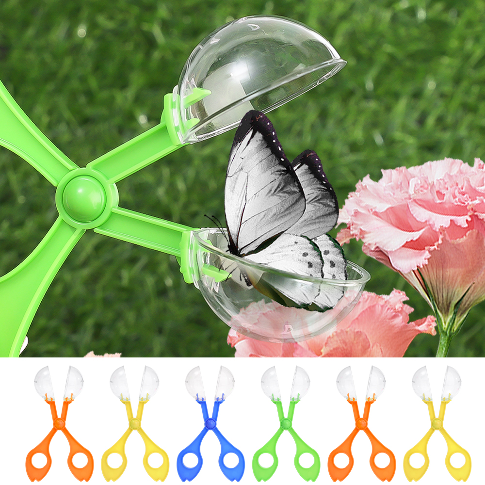 Kids Outdoor Adventure Insect  - Outdoor Adventure With Kids ulasan dan harga