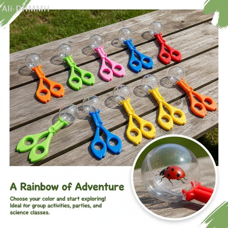 Outdoor Adventure Bug Catch Cl - Outdoor Adventure With Kids ulasan dan harga